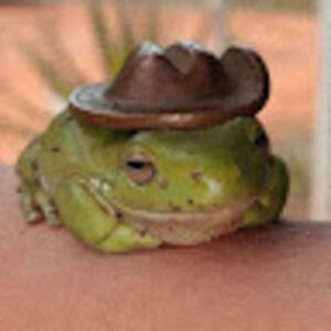 Meet your Posher, Raven